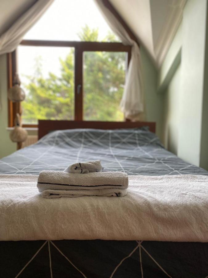 Havalimanina Yakin Orman Icinde Ferah Villa1 Arnavutkoy Esterno foto